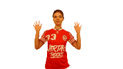 Team Handball Sticker by Fernreisehelden