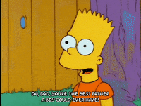 season 4 dad GIF