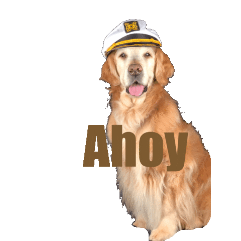 Golden Retriever Dog Sticker