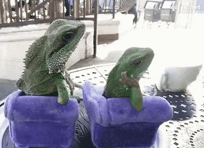 Sup Chillin GIF by erichamlet