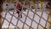 happy college sports GIF by Robert Morris University Athletics