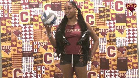 Wtf GIF by CUCougars