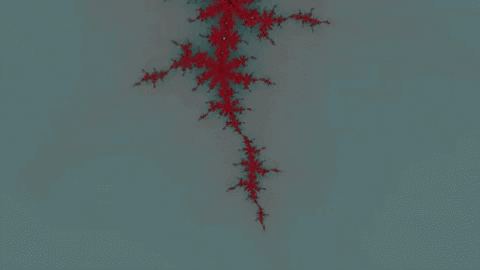 Benoit Mandelbrot Lsd GIF by xponentialdesign