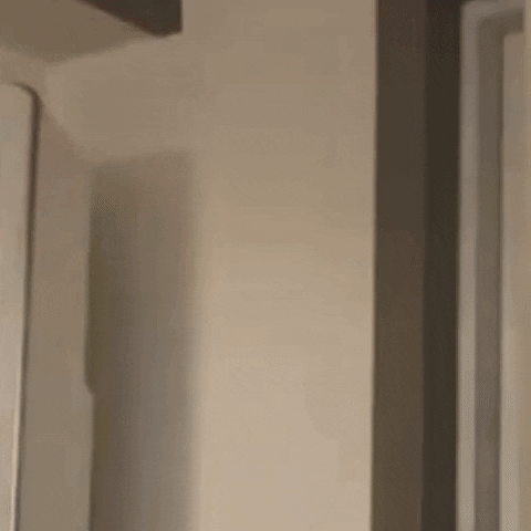 Point Appear GIF
