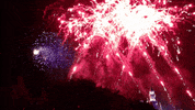 fourth of july fireworks GIF by Disney