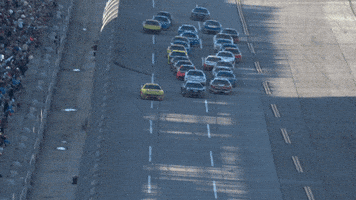 Tyler Reddick Sport GIF by NASCAR