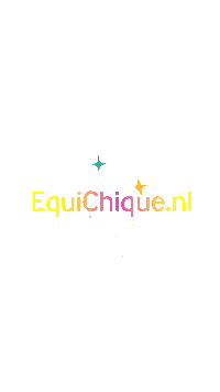 Sparkle Equiline Sticker by Talitha Ombach