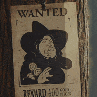 ketochow keto ketogenic keto diet wanted poster GIF