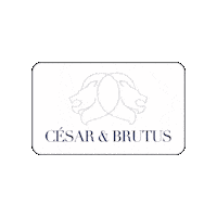 immobilier cesaretbrutus cesarbrutus cesaretbrutusparis cesaretbrutuslyon Sticker