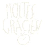 Thanks Gracias Sticker
