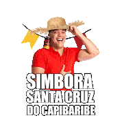 Santa Cruz Do Capibaribe Drink Sticker by Pitú