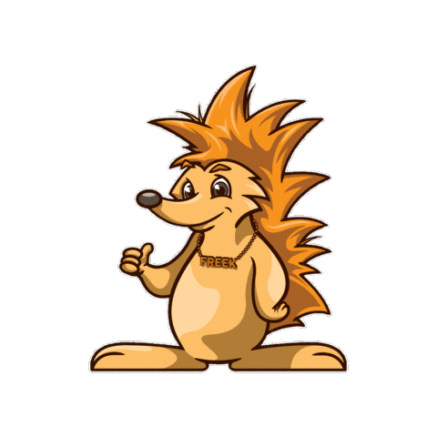 Oranje Sticker by Chiro