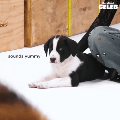 Hungry Girl Group GIF by BuzzFeed