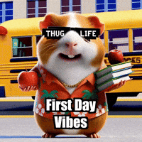 School Education GIF by Guinea Gambino