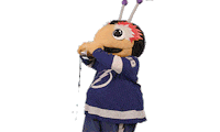 Ice Hockey Sport Sticker by NHL