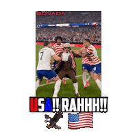American Usa Sticker by Bovada