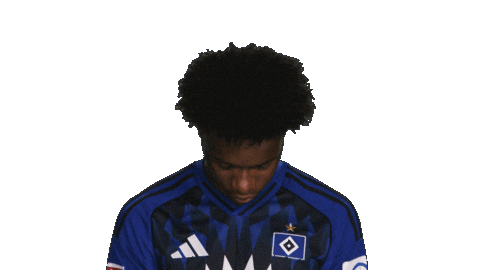 Look Up Hamburger Sv Sticker by Bundesliga