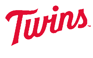 Major League Baseball Sport Sticker by Minnesota Twins