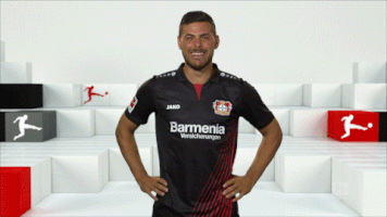 happy bayer leverkusen GIF by Bundesliga