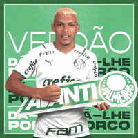 Soccer Futebol GIF by SE Palmeiras