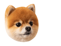 헨로포우 Sticker by henlopaw.official