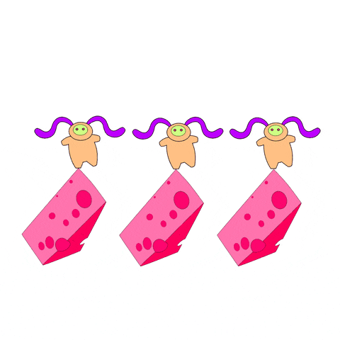 Excited Dance GIF