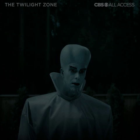 The Twilight Zone: "You Might Also Like" - Stare
