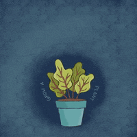 Happy Plant GIF