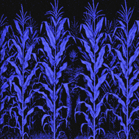 8-Bit Halloween GIF by patternbase