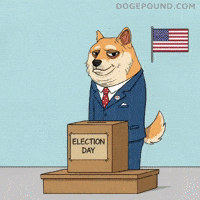 Voting Shiba Inu GIF by Doge Pound