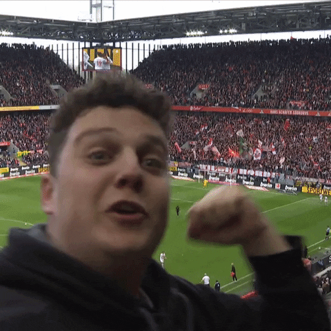 1 Fc Cologne Football GIF by 1. FC Köln
