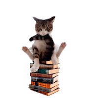 cats kitten Sticker