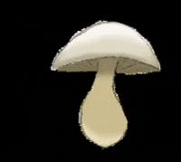 Mitsukoandco halloween fall autumn witch GIF