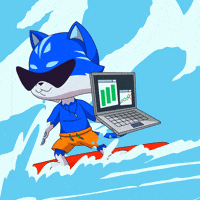 Cat Water GIF by Toshithecat