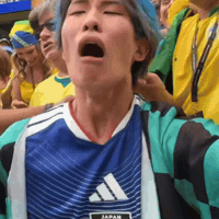 World Cup Football Meme GIF