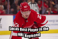 Shark6 nhl red wings lucas raymond lucas best player in the nhl raymond GIF