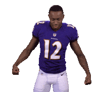 baltimore ravens sticker by NFL