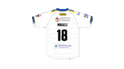 The Wire Sticker by Warrington Wolves