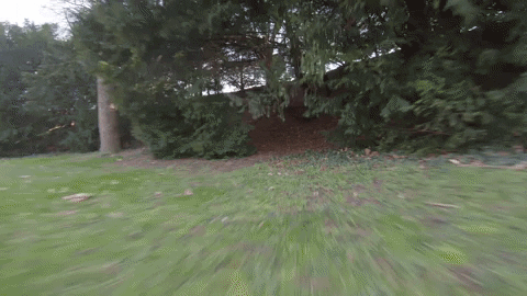 timonterzi giphyupload GIF