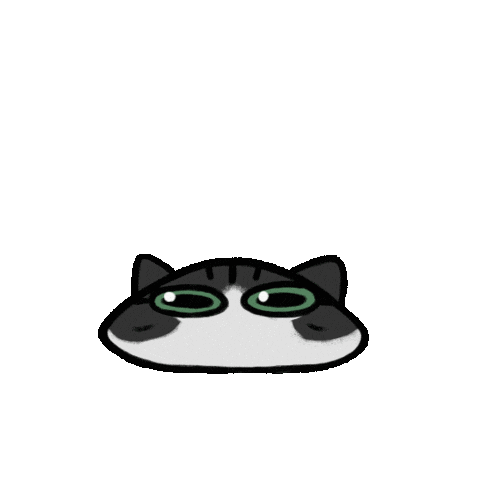 SharpTsuki giphyupload happy cat jump Sticker