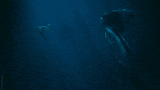 Sci-Fi Drama GIF by Siren