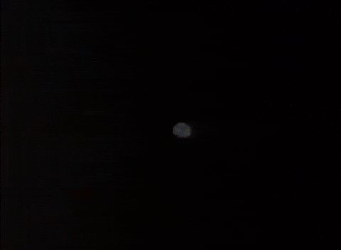 echo party GIF