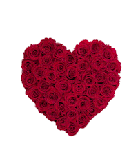 valentines day love Sticker by Venus ET Fleur