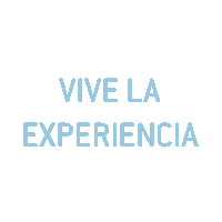 Piloto Aire Sticker by VirtualFly