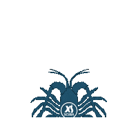 Gloves Sticker by XS Scuba
