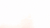 Celebration Goal GIF by FC Red Bull Salzburg
