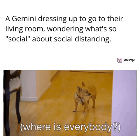 mypawp giphyupload GIF