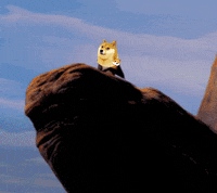 Money Crypto GIF by Baby Doge Coin