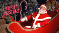 Ho Ho Jingle Bells!