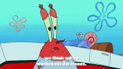 season 9 lost in bikini bottom GIF by SpongeBob SquarePants